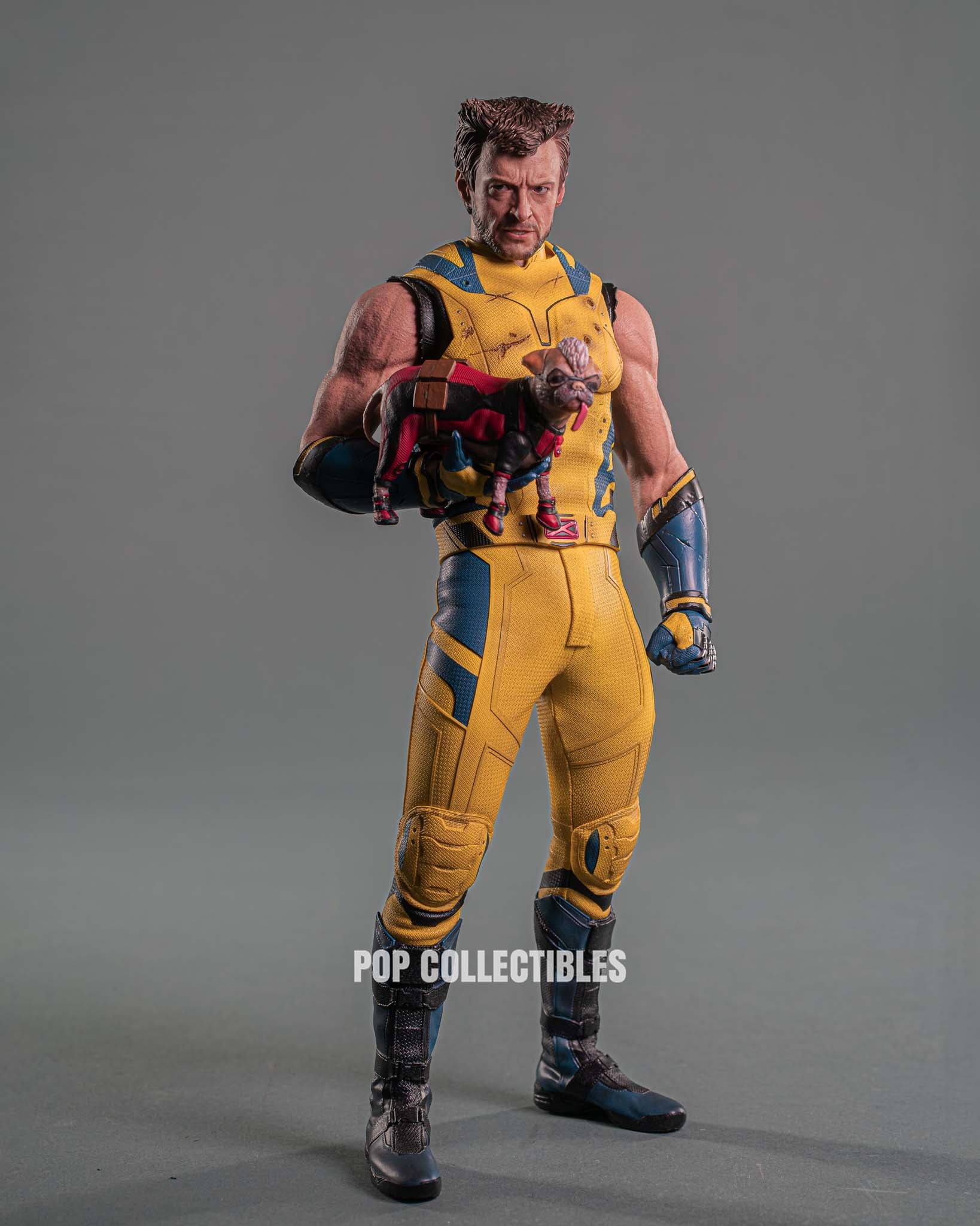Hot Toys MMS754 Deadpool and Wolverine: Wolverine 1/6 Scale Collectible Figure Deluxe Edition - Image 4
