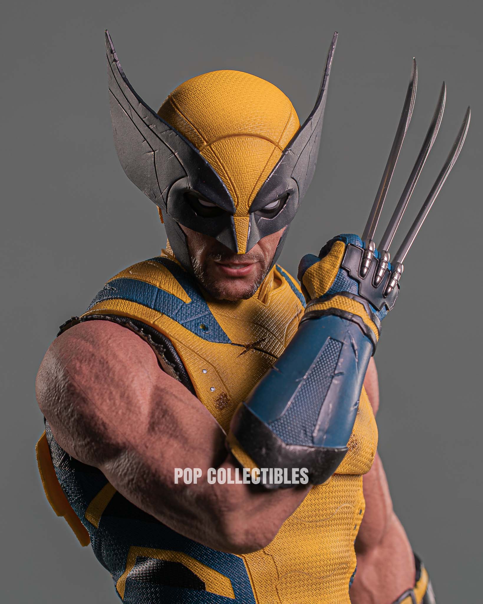 Hot Toys MMS754 Deadpool and Wolverine: Wolverine 1/6 Scale Collectible Figure Deluxe Edition - Image 6