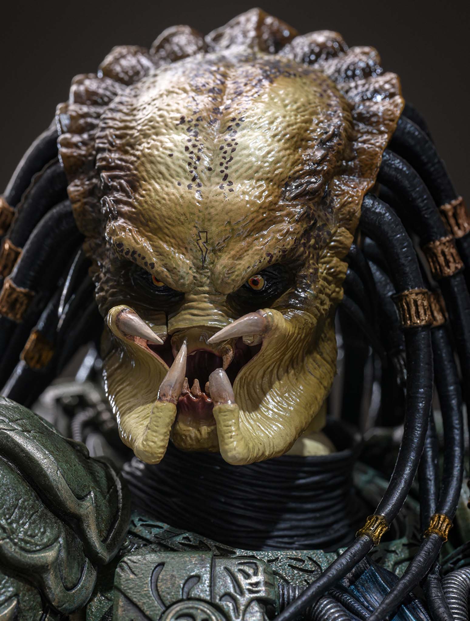 Preorder! Hot Toys CMS029B Predator 1/6th scale Broken Tusk Predator Collectible Figure (Special Edition) - Image 20